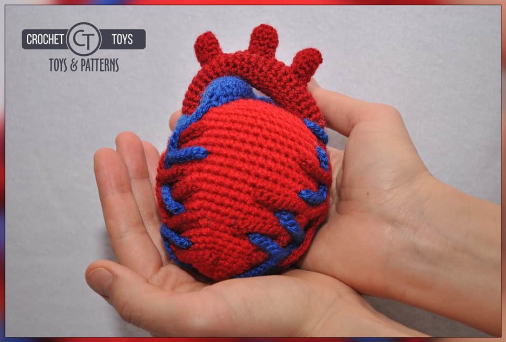 Crochet Anatomical Heart