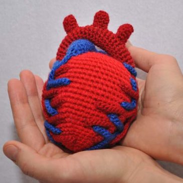 Crochet Pattern Anatomical Heart